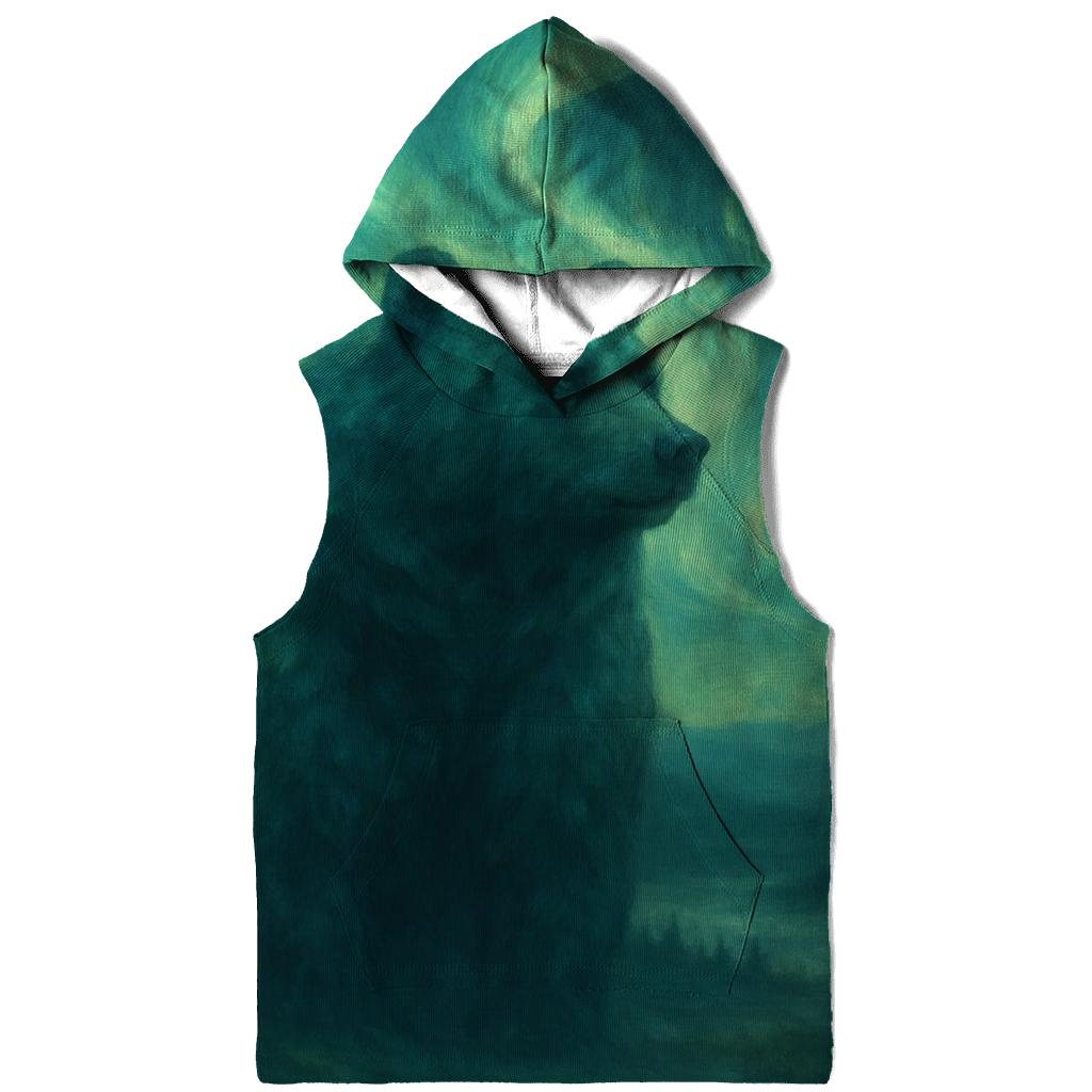 Aurora Borealis Bear premium hoodies