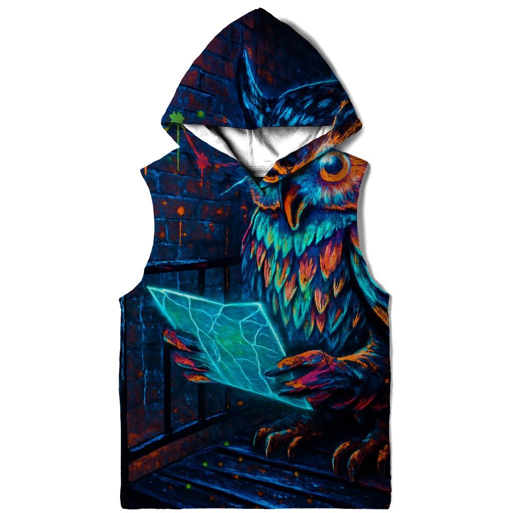 Chromatic Alley Owl pullover hoodies