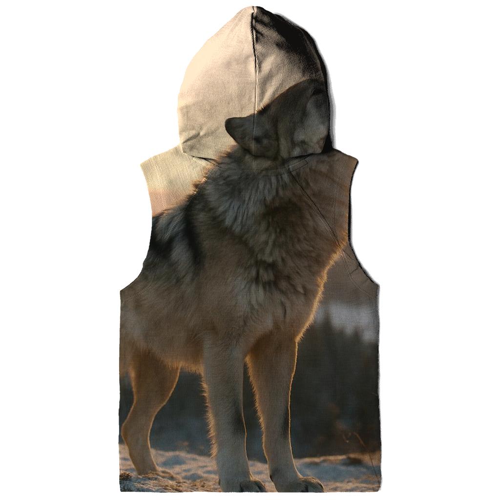 Northern Alpha At Dawn embroidered hoodies