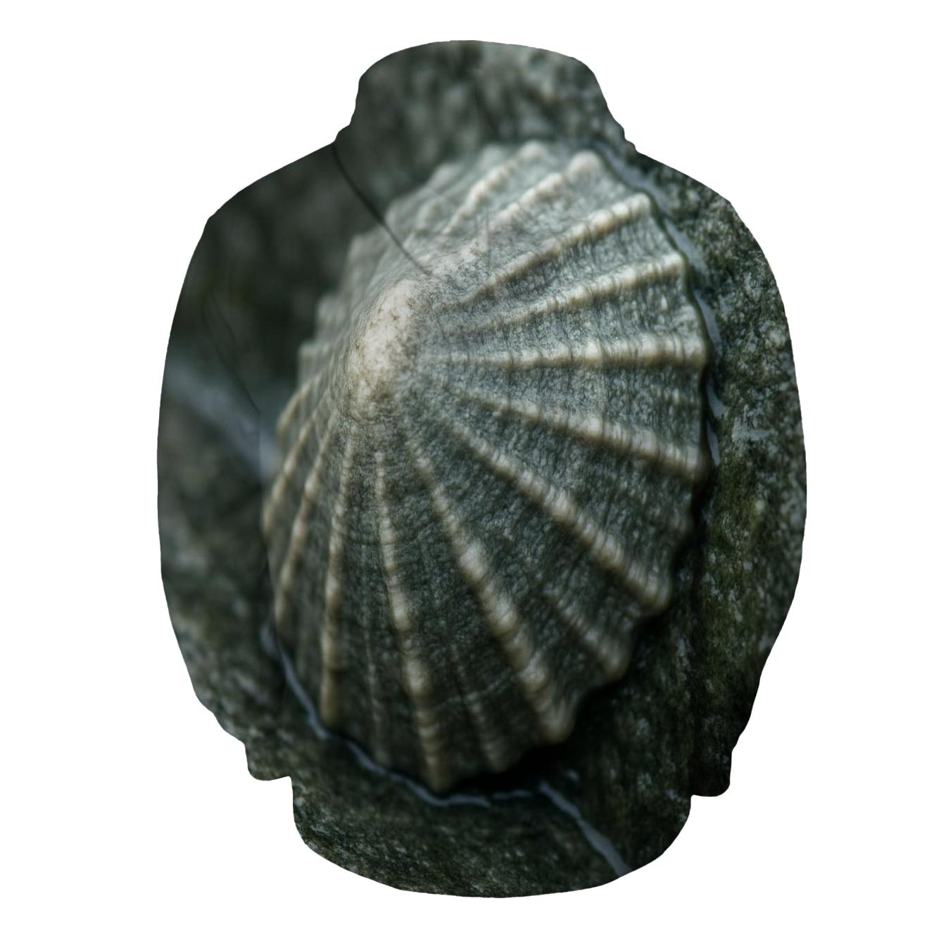 Rocky Intertidal Limpet designer hoodies