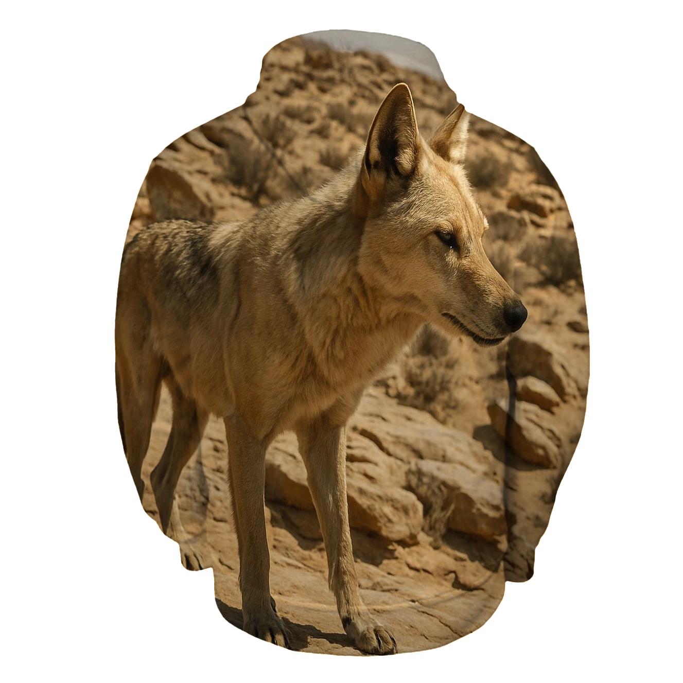 Desert Edge Nomad premium hoodies
