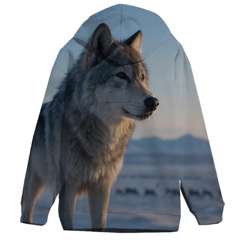 Arctic Pack Sentinel hoodies fashion