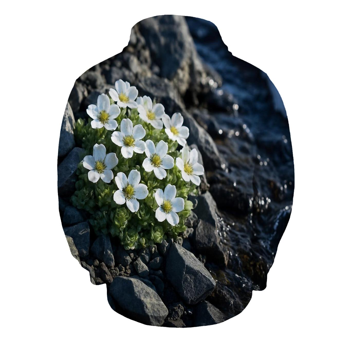 Alpine Saxifrage Snowmelt Ribbon premium hoodies