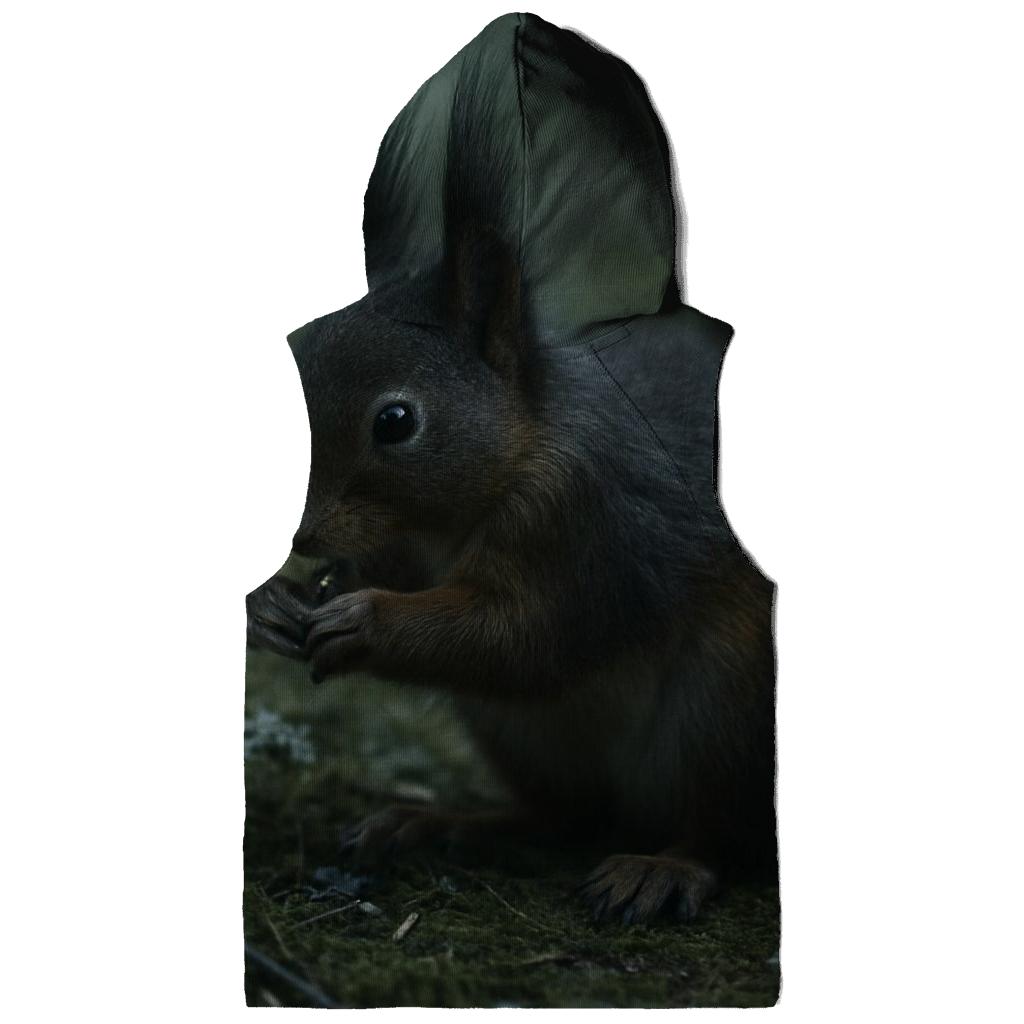 Boreal Morning Forage designer hoodies