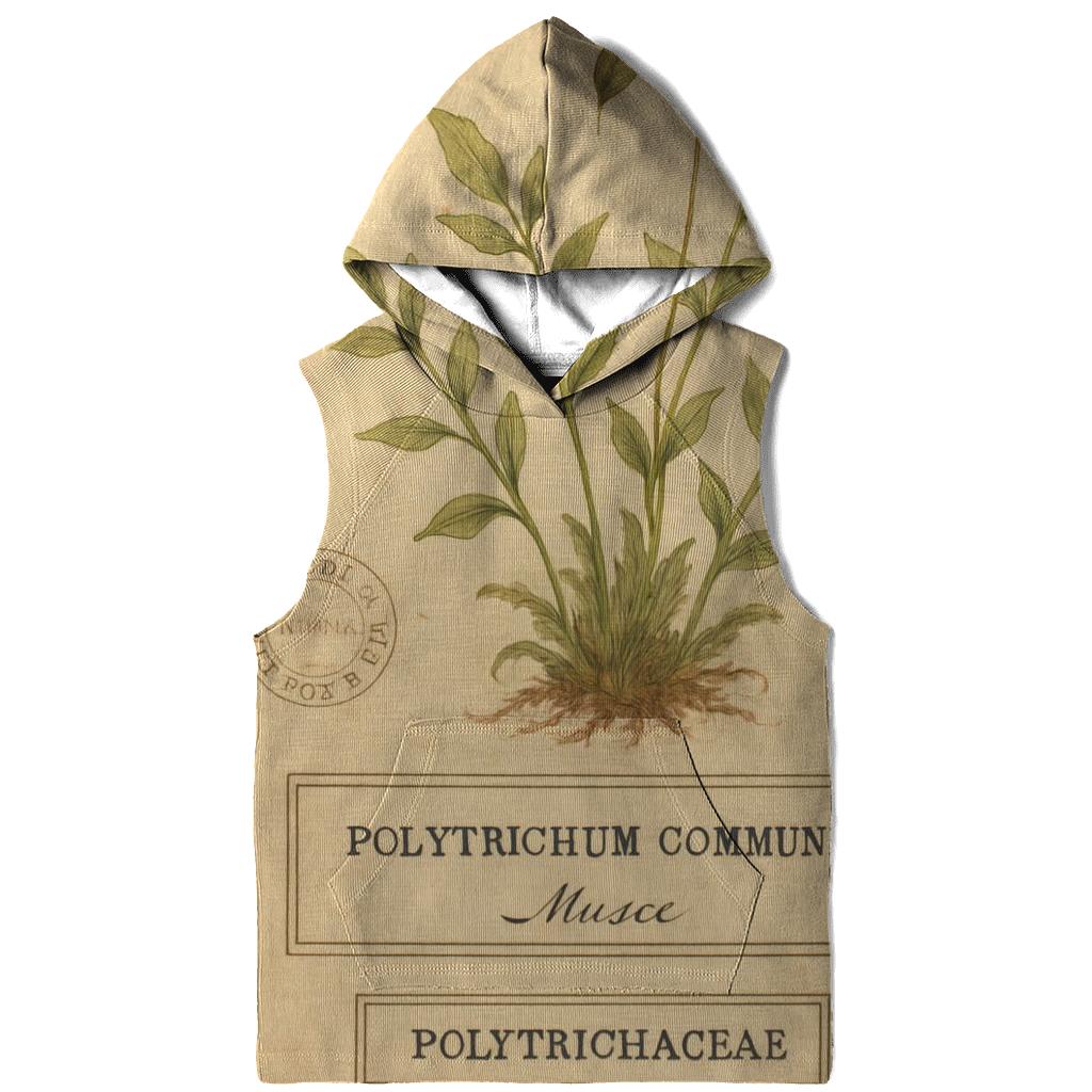 Vintage Botanical Study Plate pullover hoodies