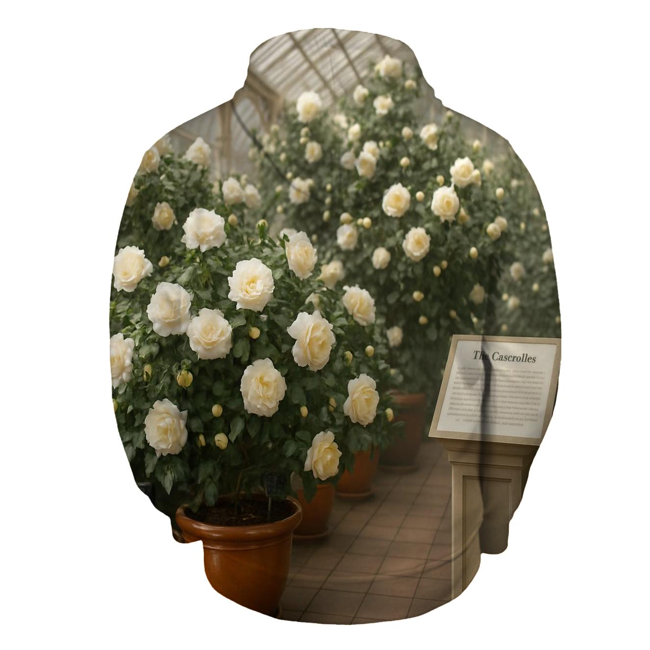 Victorian Conservatory Camellia Display pullover hoodies