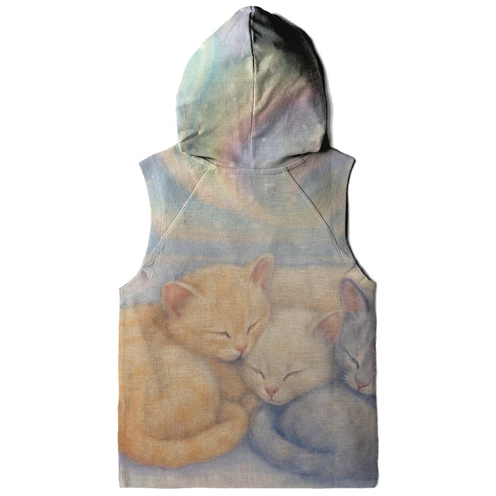 Aurora Sleepers embroidered hoodies