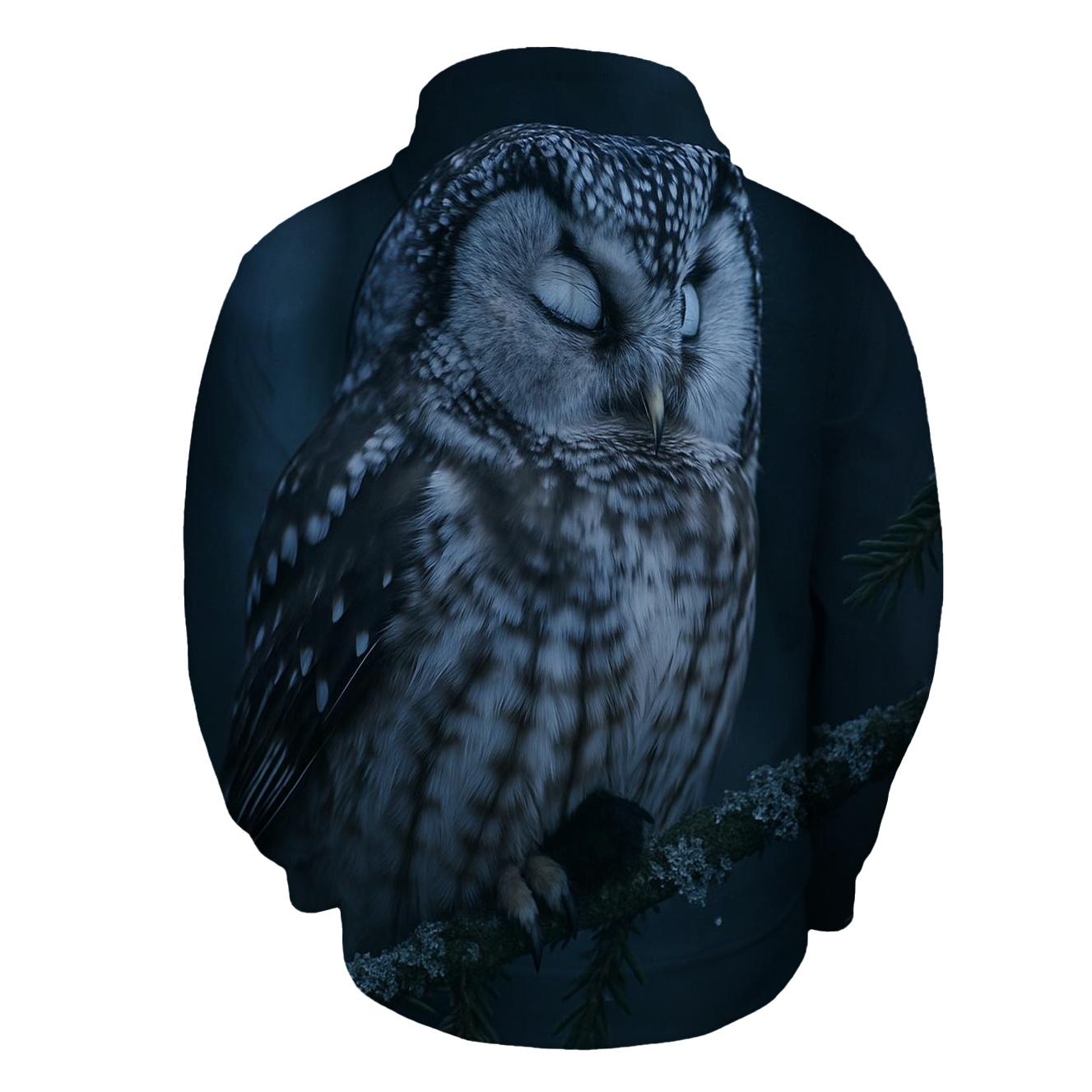 Boreal Drift Boreal Owl graphic hoodies