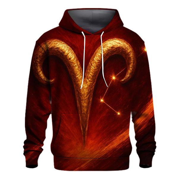 Aries Solar Flame Glyph embroidered hoodies