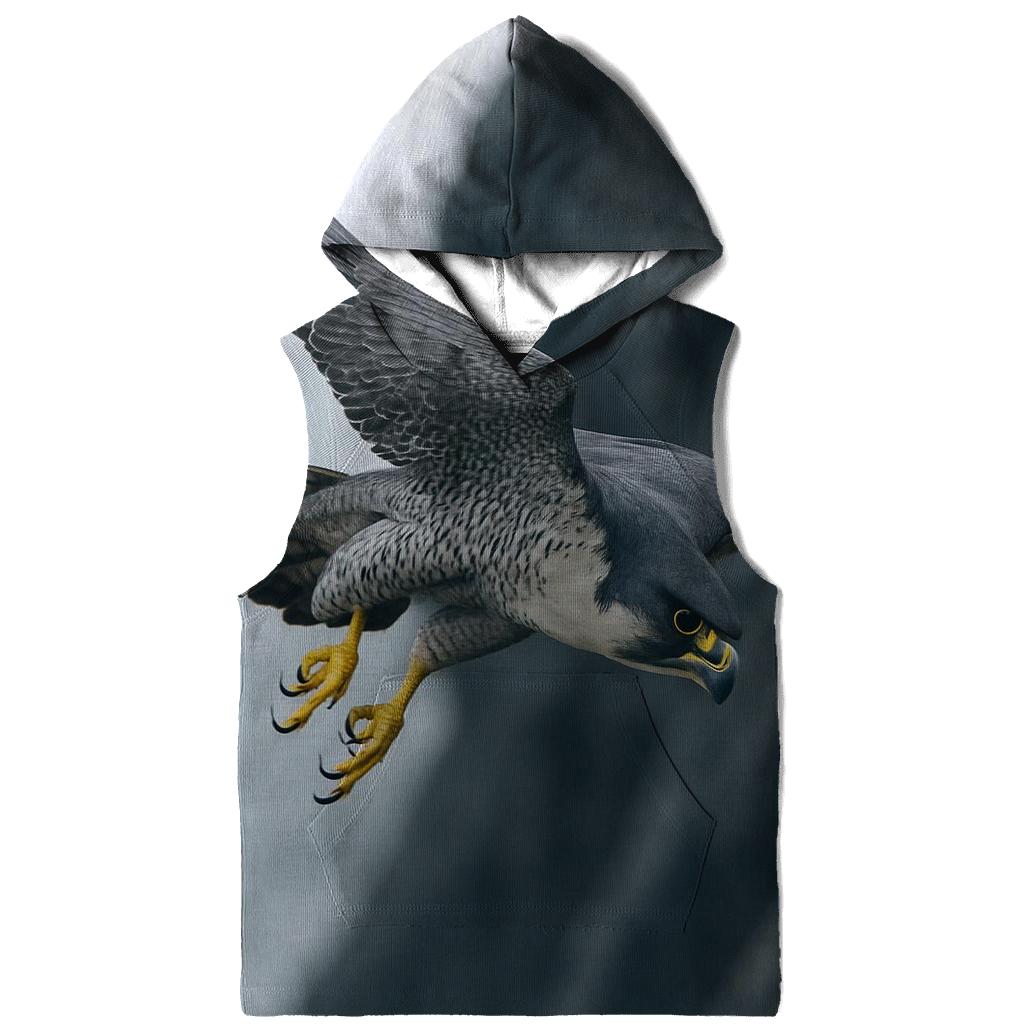 Rockface Raker Peregrine Stooping hoodie styles
