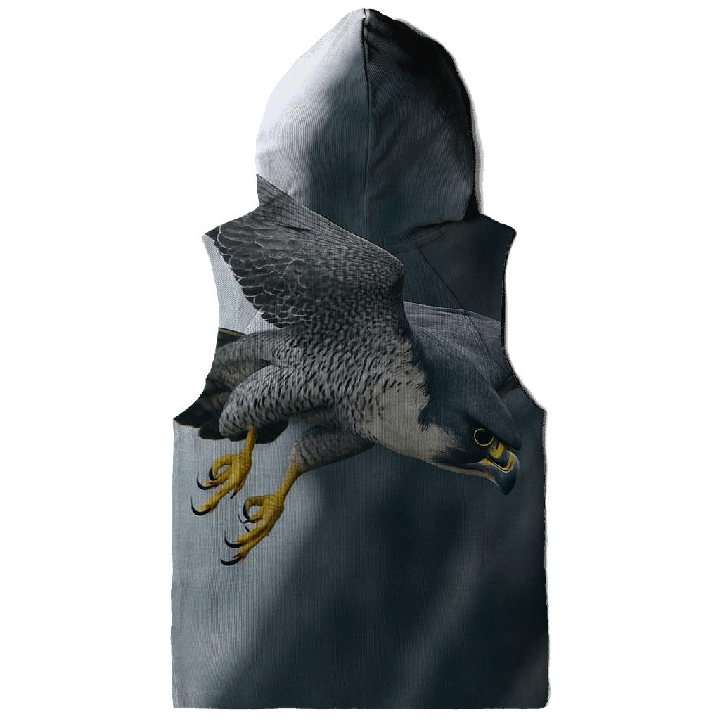 Rockface Raker Peregrine Stooping hoodie styles
