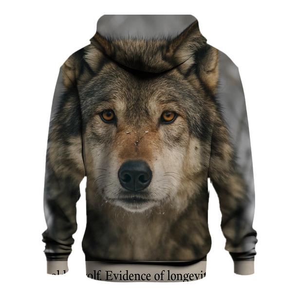 Snowbound Eye Contact Study designer hoodies