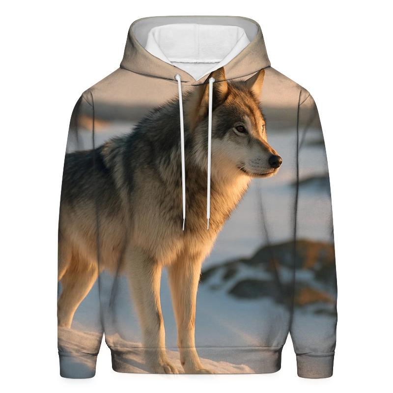 Alpha Surveying The Tundra pullover hoodies