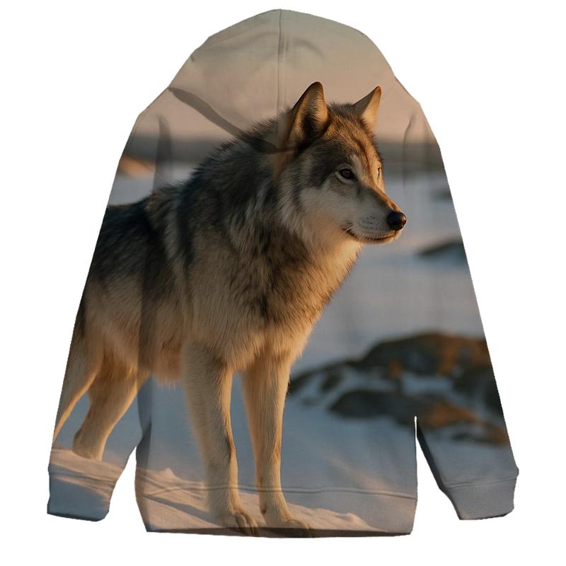 Alpha Surveying The Tundra pullover hoodies