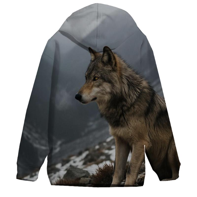 Mountain Scout At Snow Line embroidered hoodies