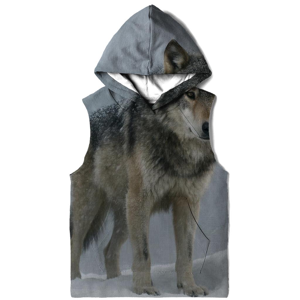 Alpine Sentinel In Blizzard zip-up hoodies