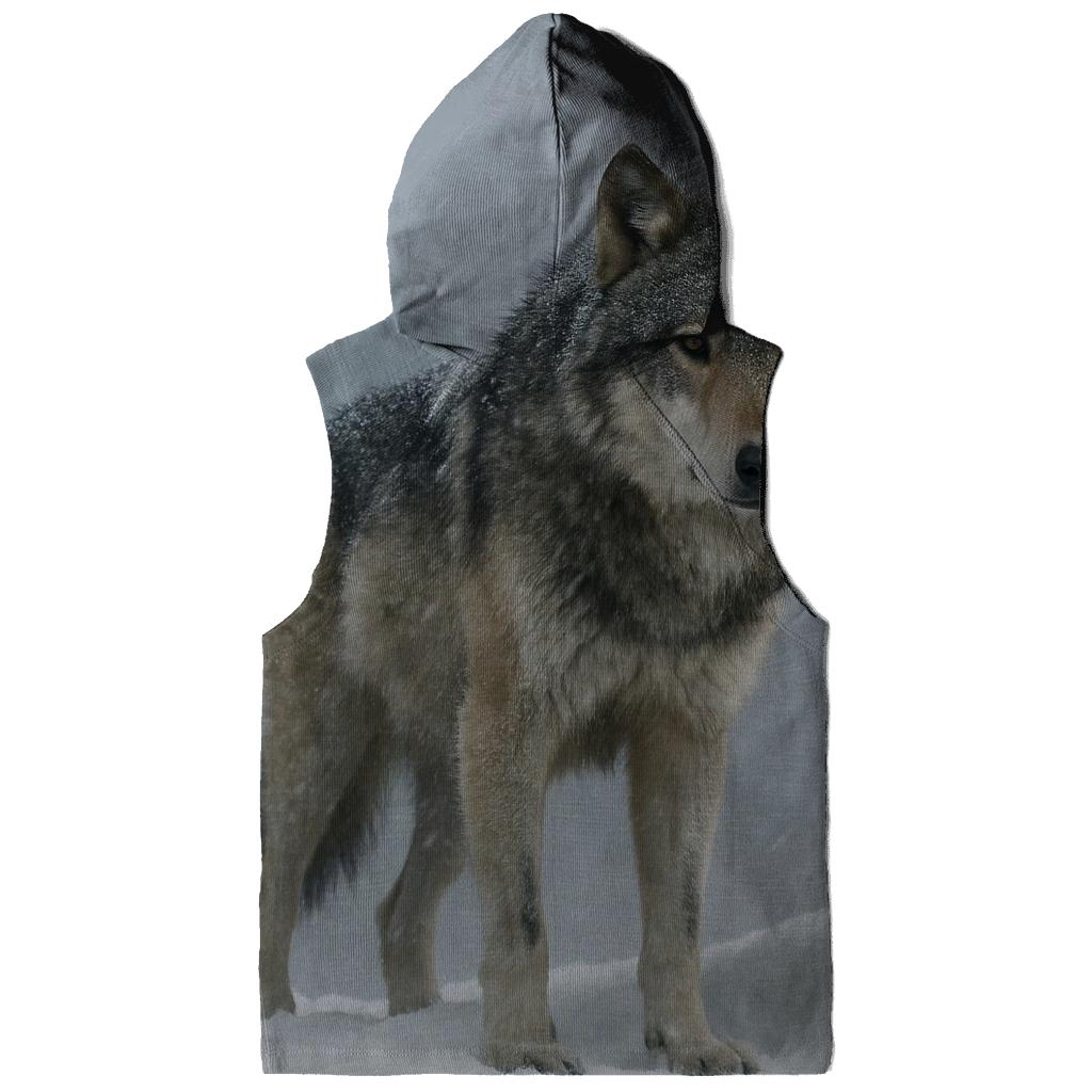 Alpine Sentinel In Blizzard zip-up hoodies