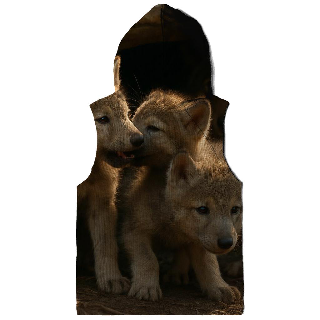Pup Den Morning Lessons lightweight hoodies