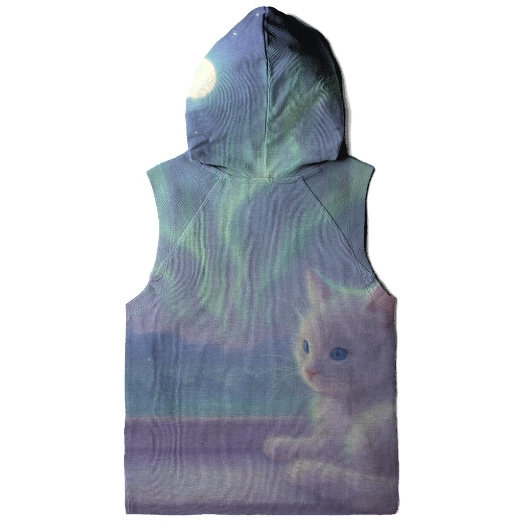 Aurora Window Nap embroidered hoodies