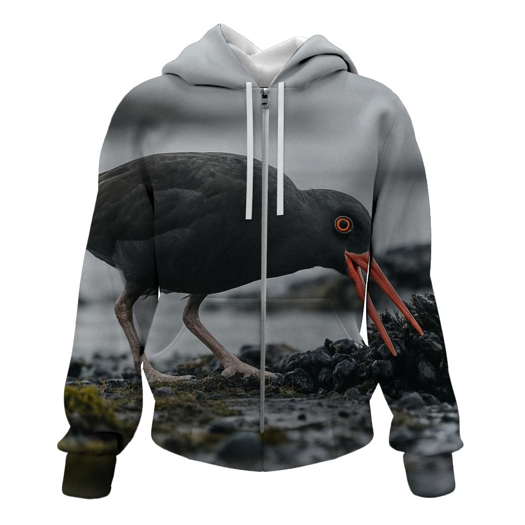 Tideline Forage — Black Oystercatcher designer hoodies