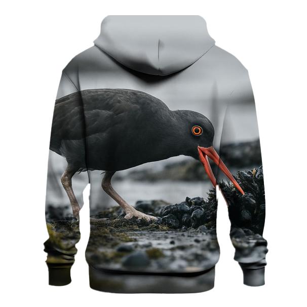 Tideline Forage — Black Oystercatcher pullover hoodies
