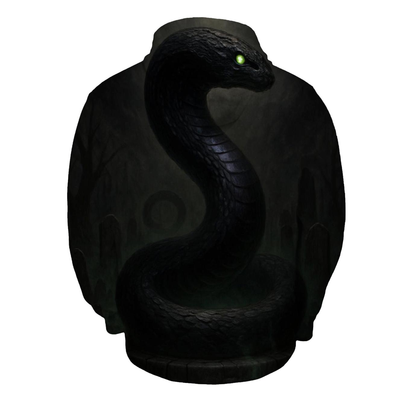 Serpent Of The Black Moon Well graphic hoodies