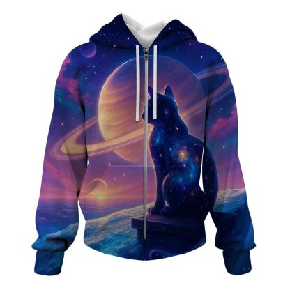 Stargazer Cat On The Comet Rooftop graphic hoodies