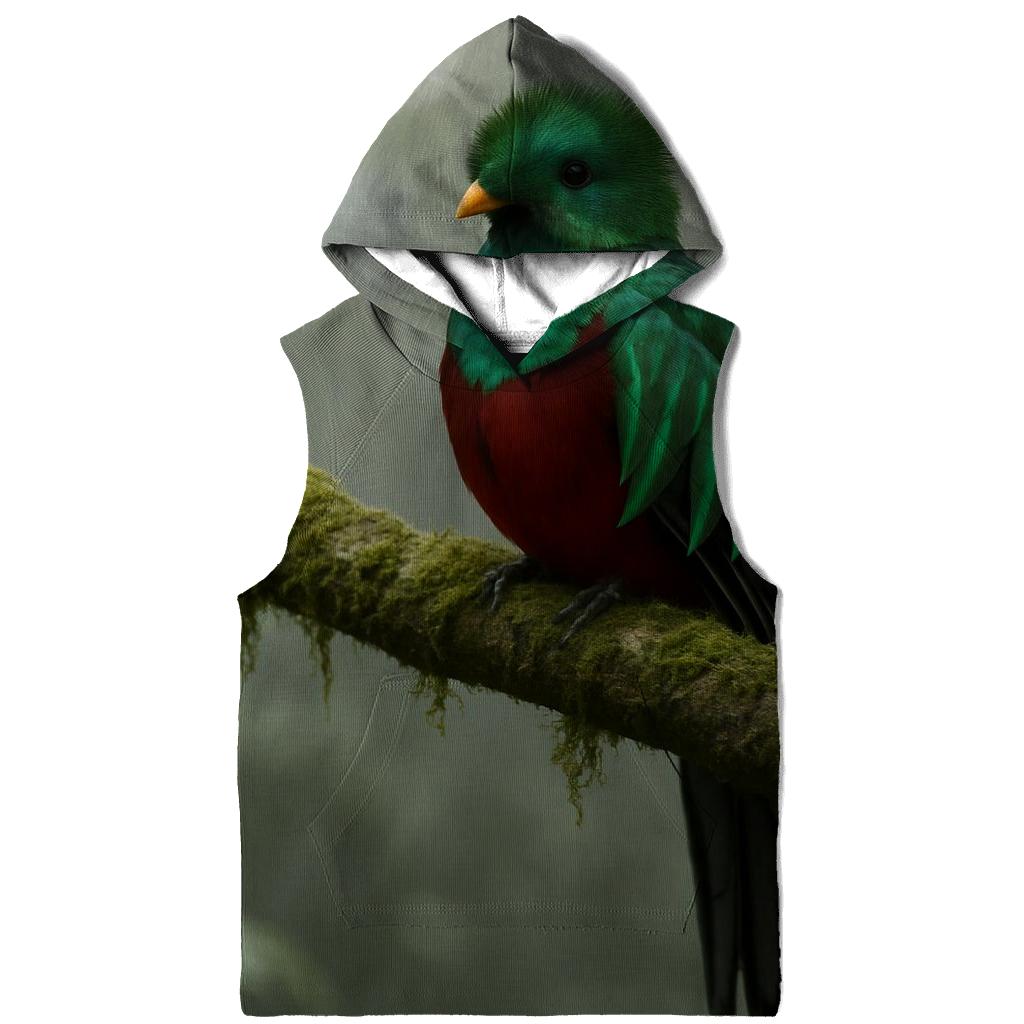 Cloud Forest Pause Resplendent Quetzal heavyweight hoodies