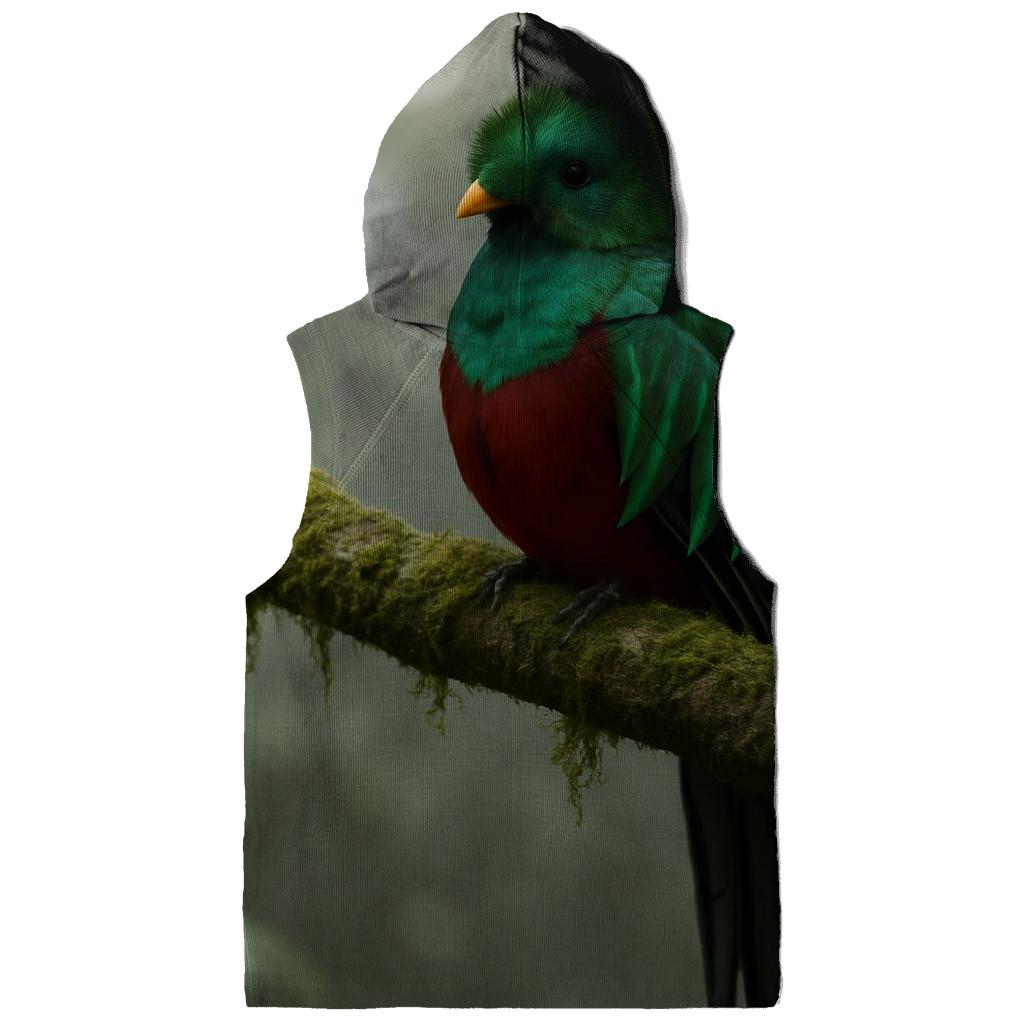 Cloud Forest Pause Resplendent Quetzal heavyweight hoodies