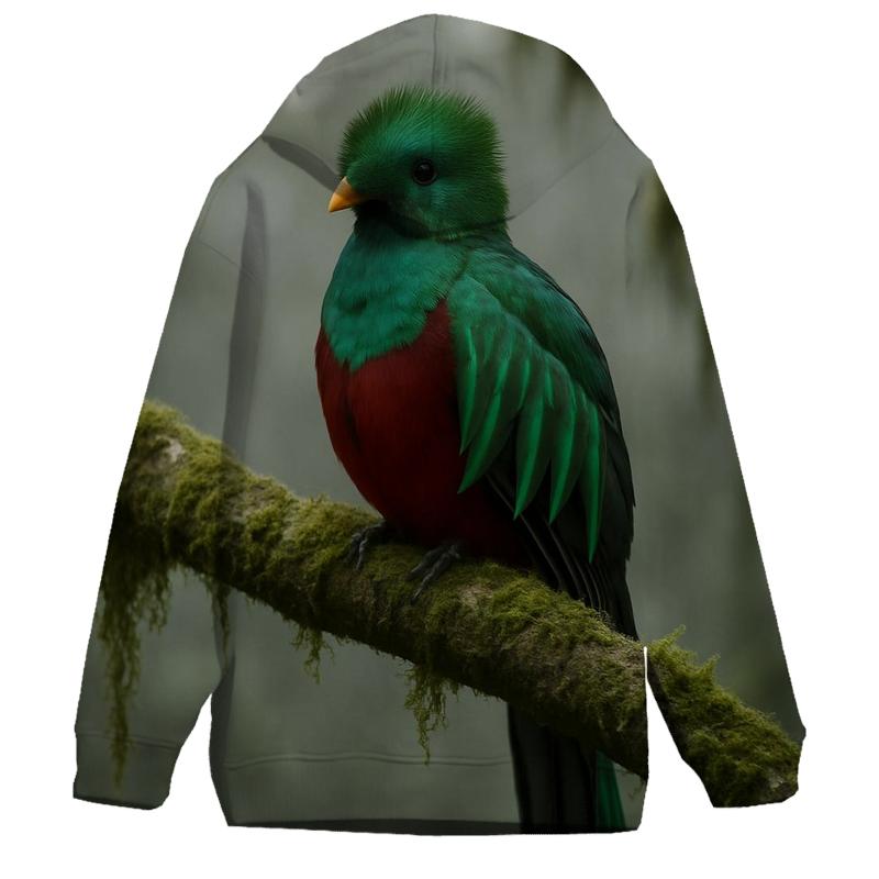Cloud Forest Pause Resplendent Quetzal hoodies fashion