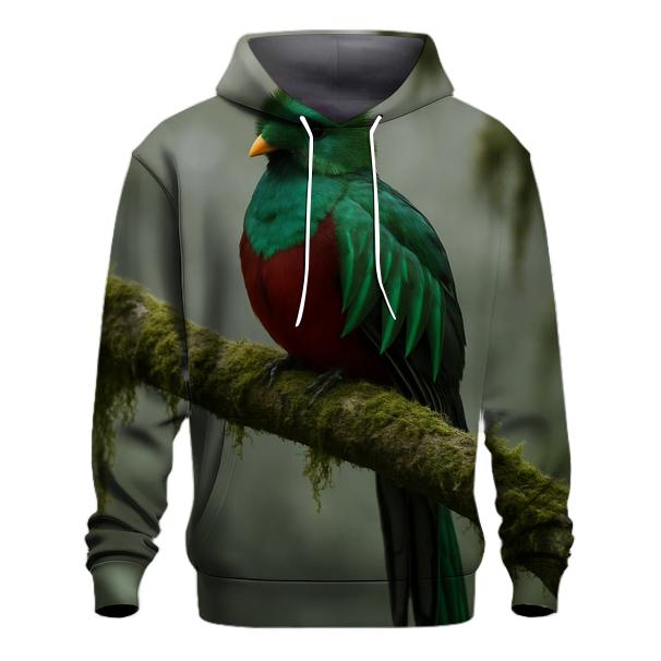 Cloud Forest Pause Resplendent Quetzal lightweight hoodies