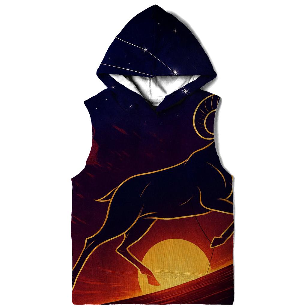 Aries Solar Ram Ascension lightweight hoodies
