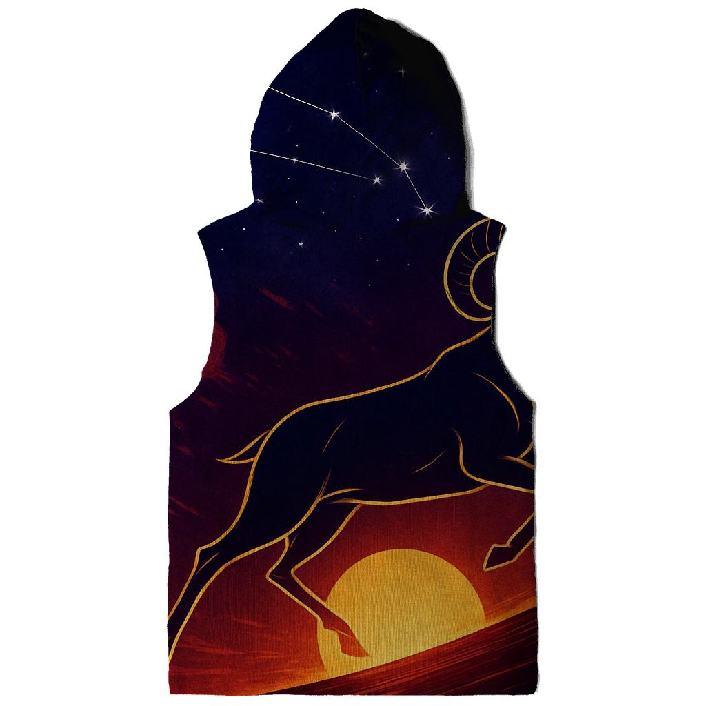 Aries Solar Ram Ascension lightweight hoodies