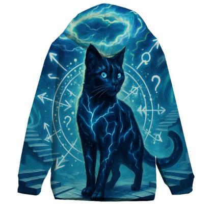 Storm Cat Of Uncertain Paths embroidered hoodies