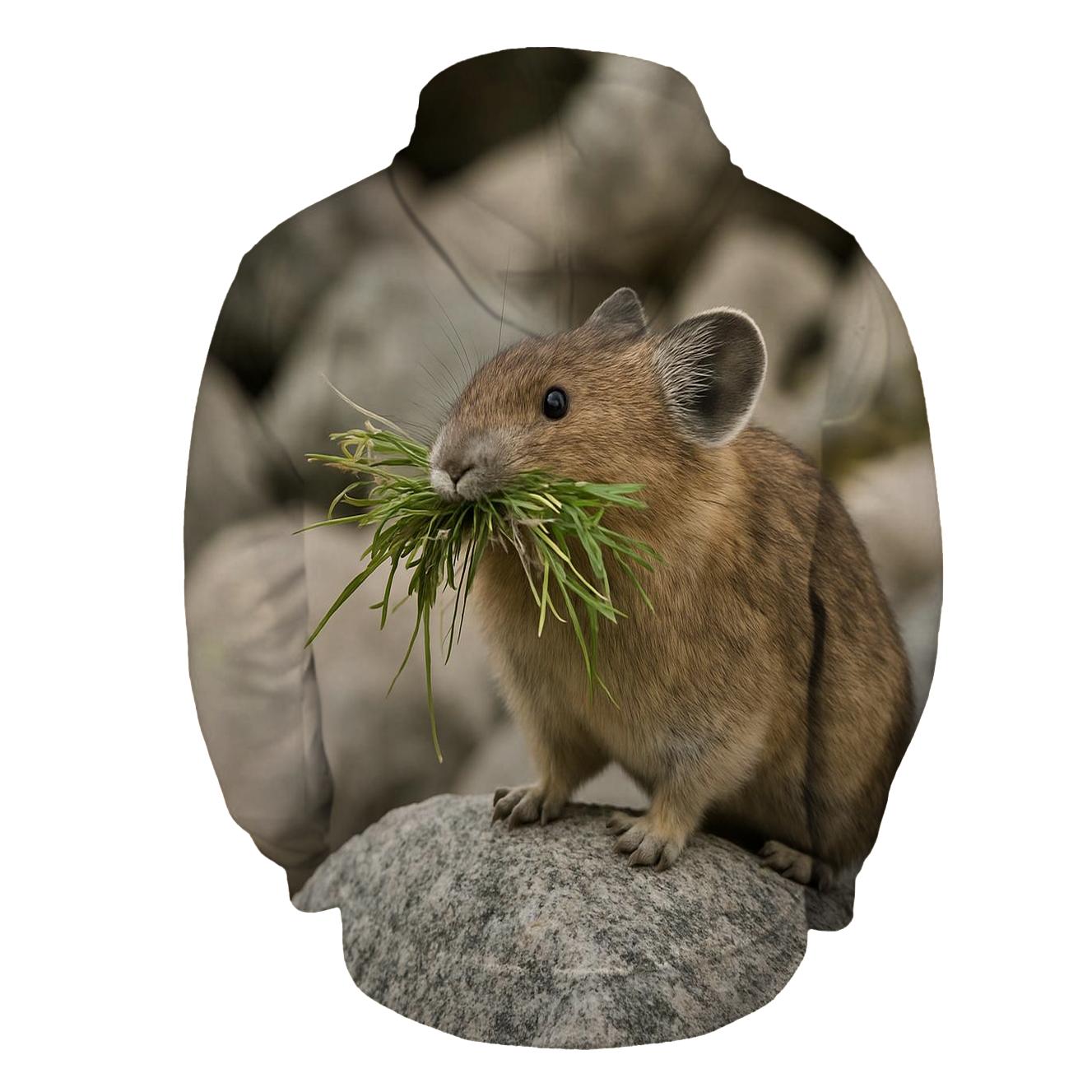 Talus Watch Pika Foraging embroidered hoodies