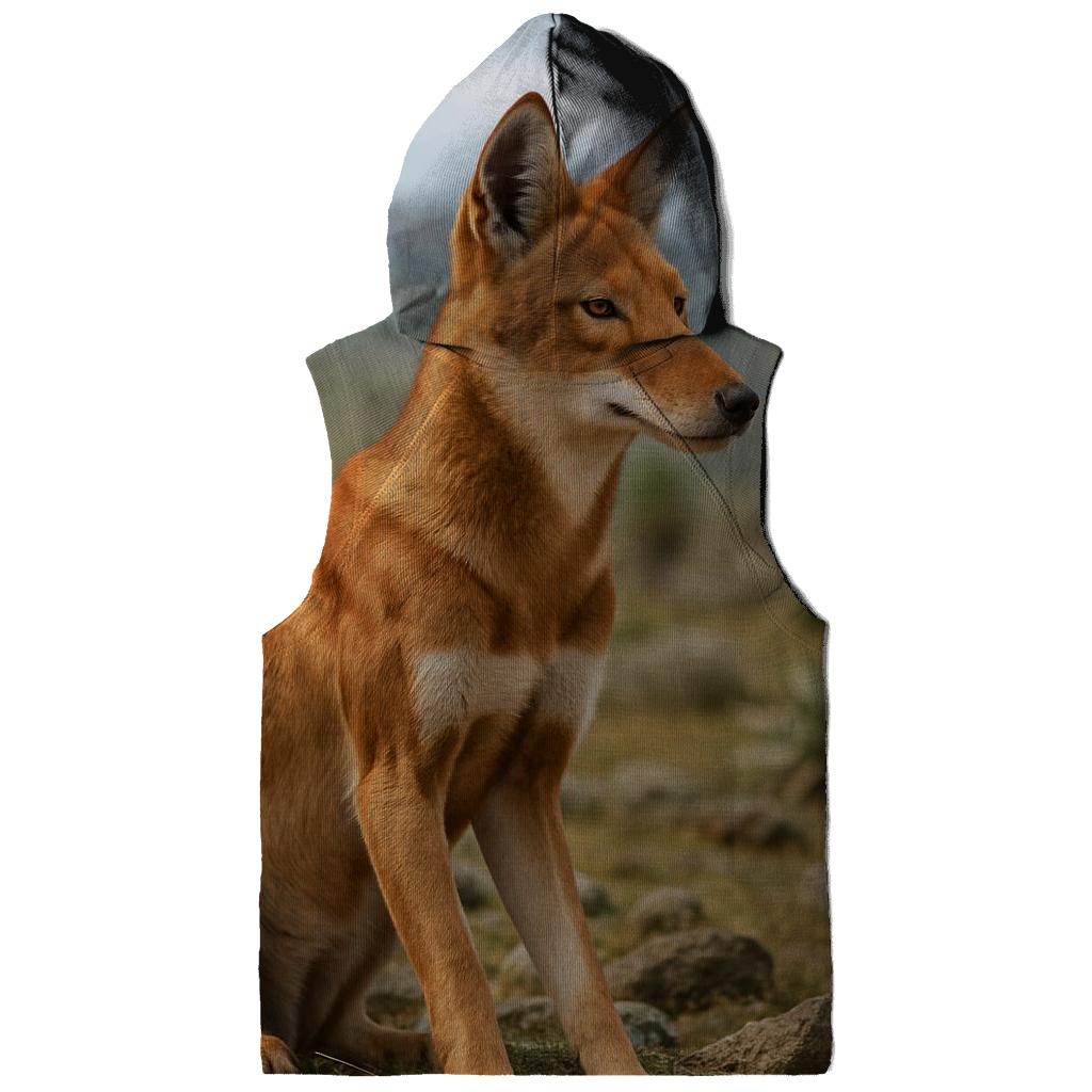 Ethiopian Wolf Watching Rodent Rich Afroalpine Plateau lightweight hoodies