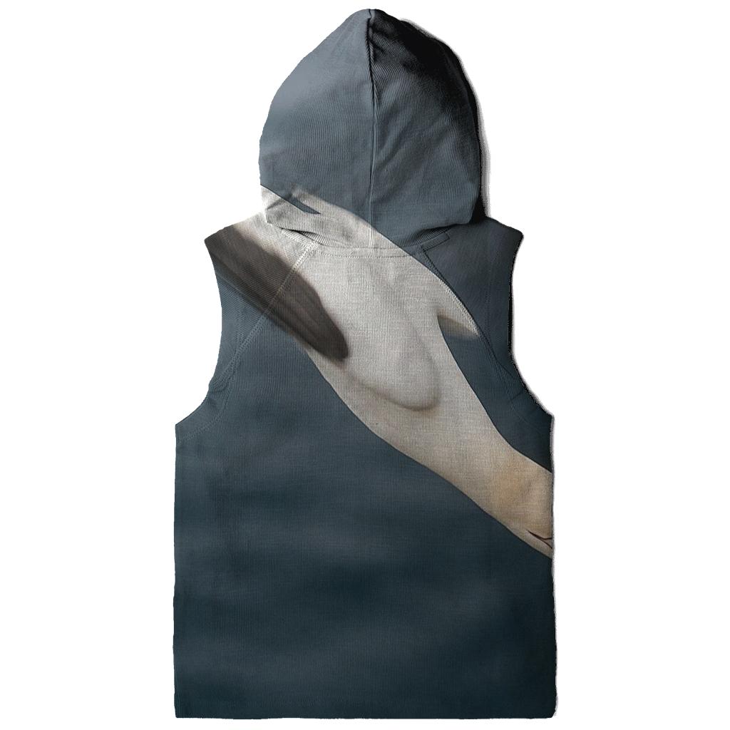 Sea Cliffs Gannet Dive hoodies fashion