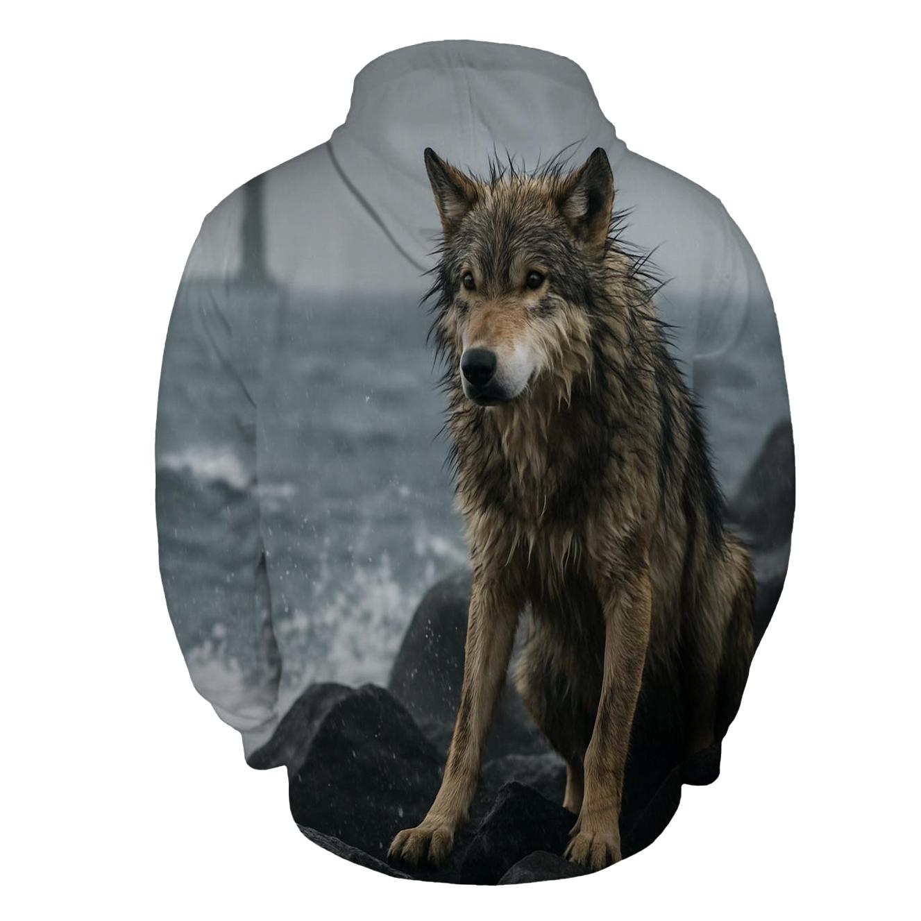 Breakwater Storm Watch graphic hoodies