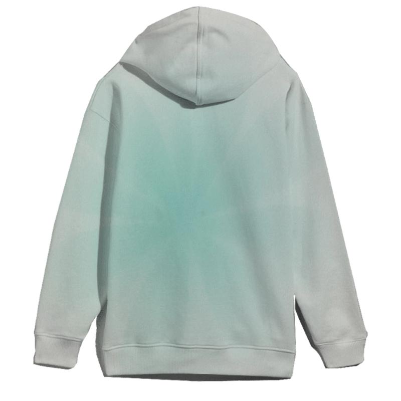 Arctic Mint Bloom hoodies fashion