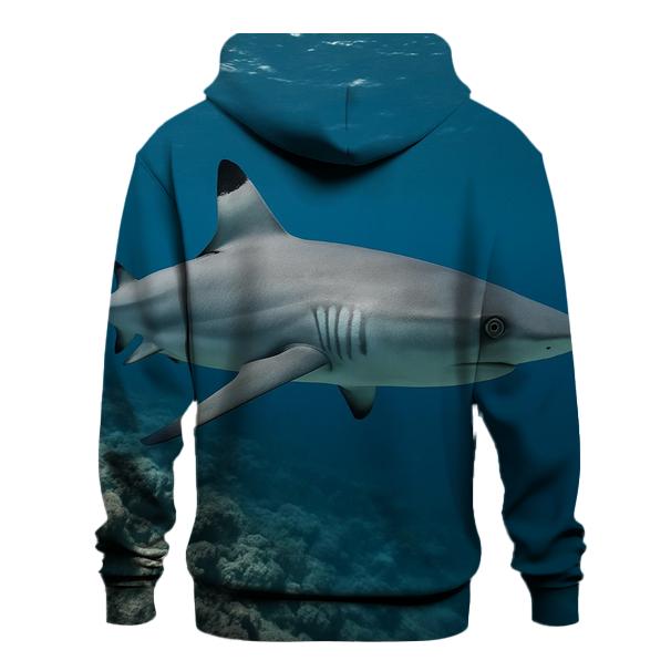 Reef Patrol Blacktip Shark heavyweight hoodies