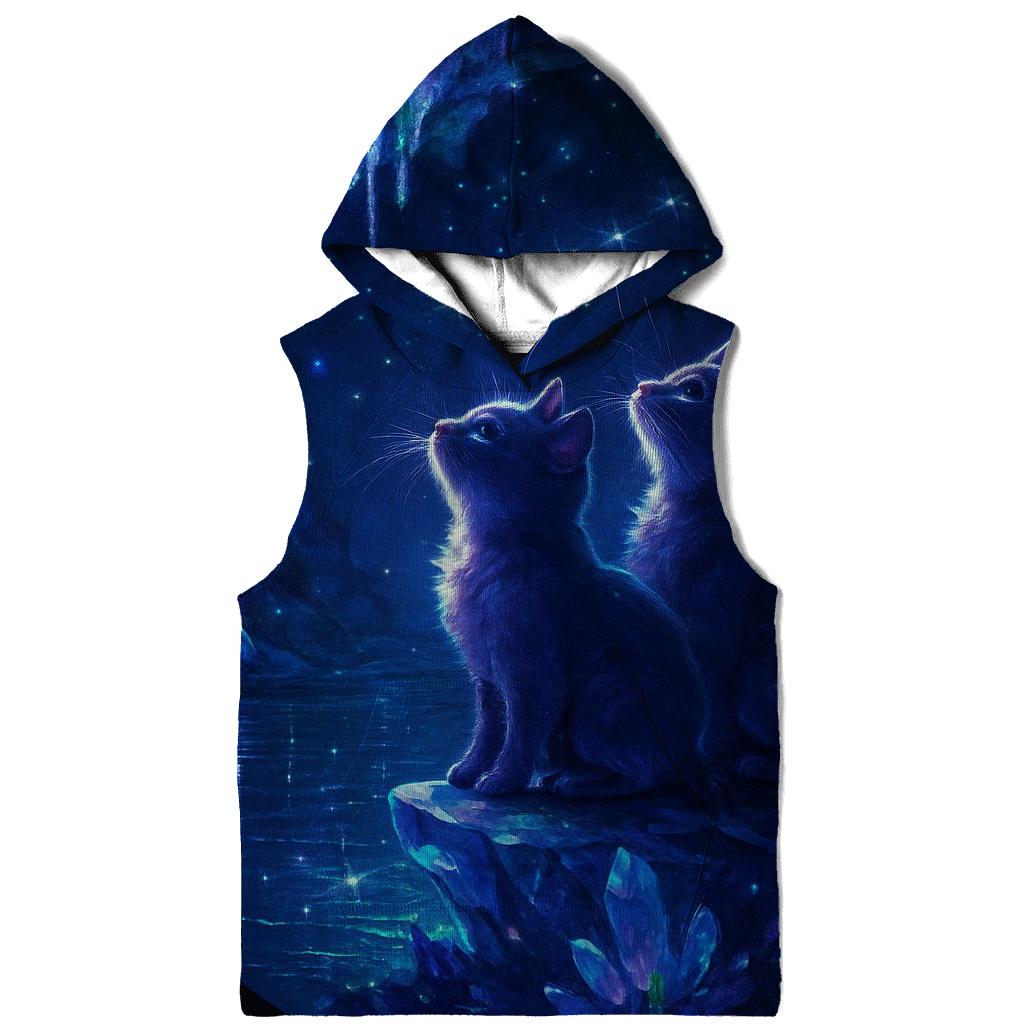 Crystal Cave Stargazer Kittens custom hoodies