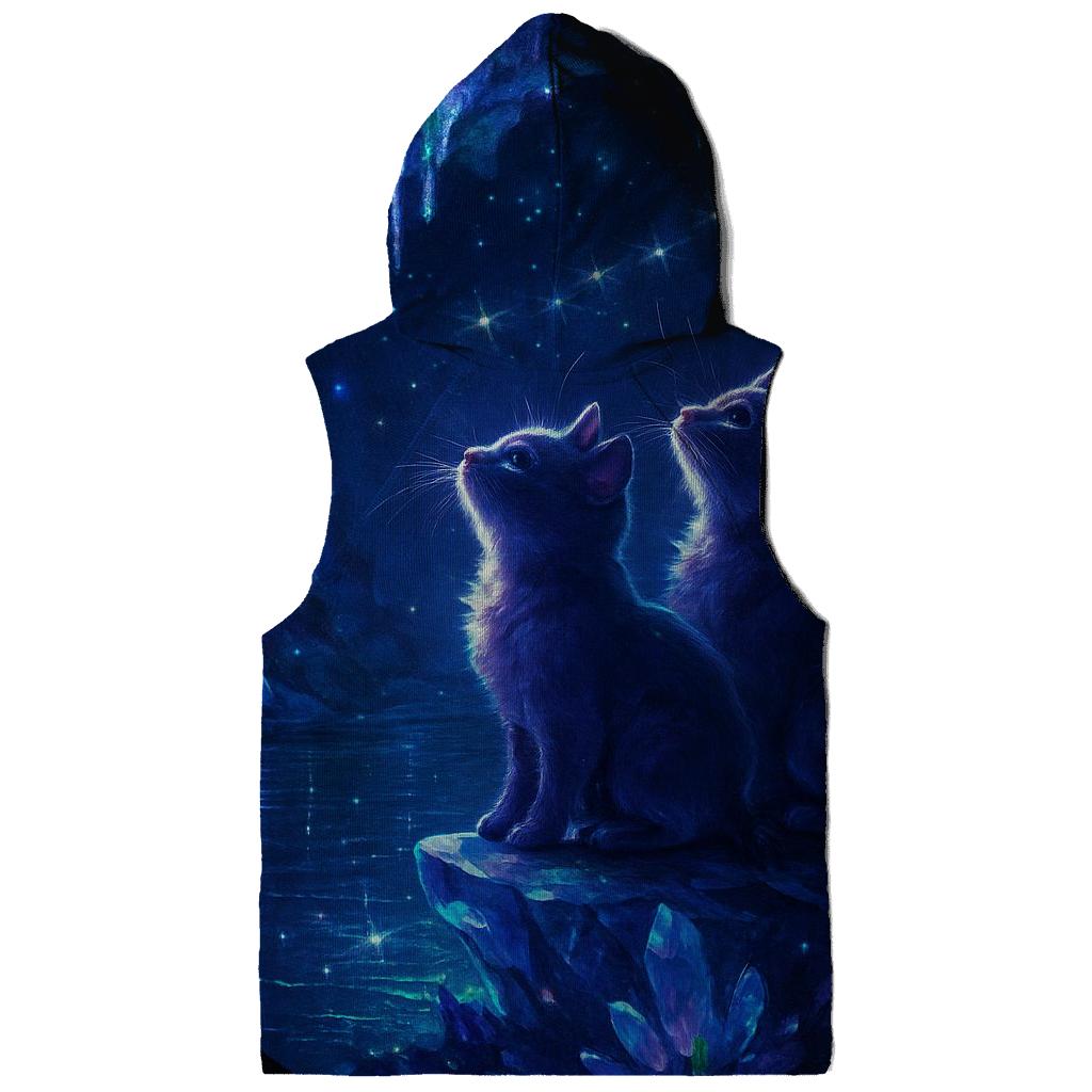 Crystal Cave Stargazer Kittens custom hoodies