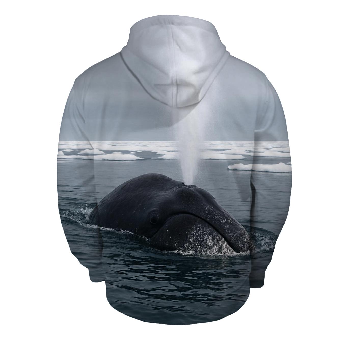 Ice Pan Wake Bowhead Whale hoodie styles
