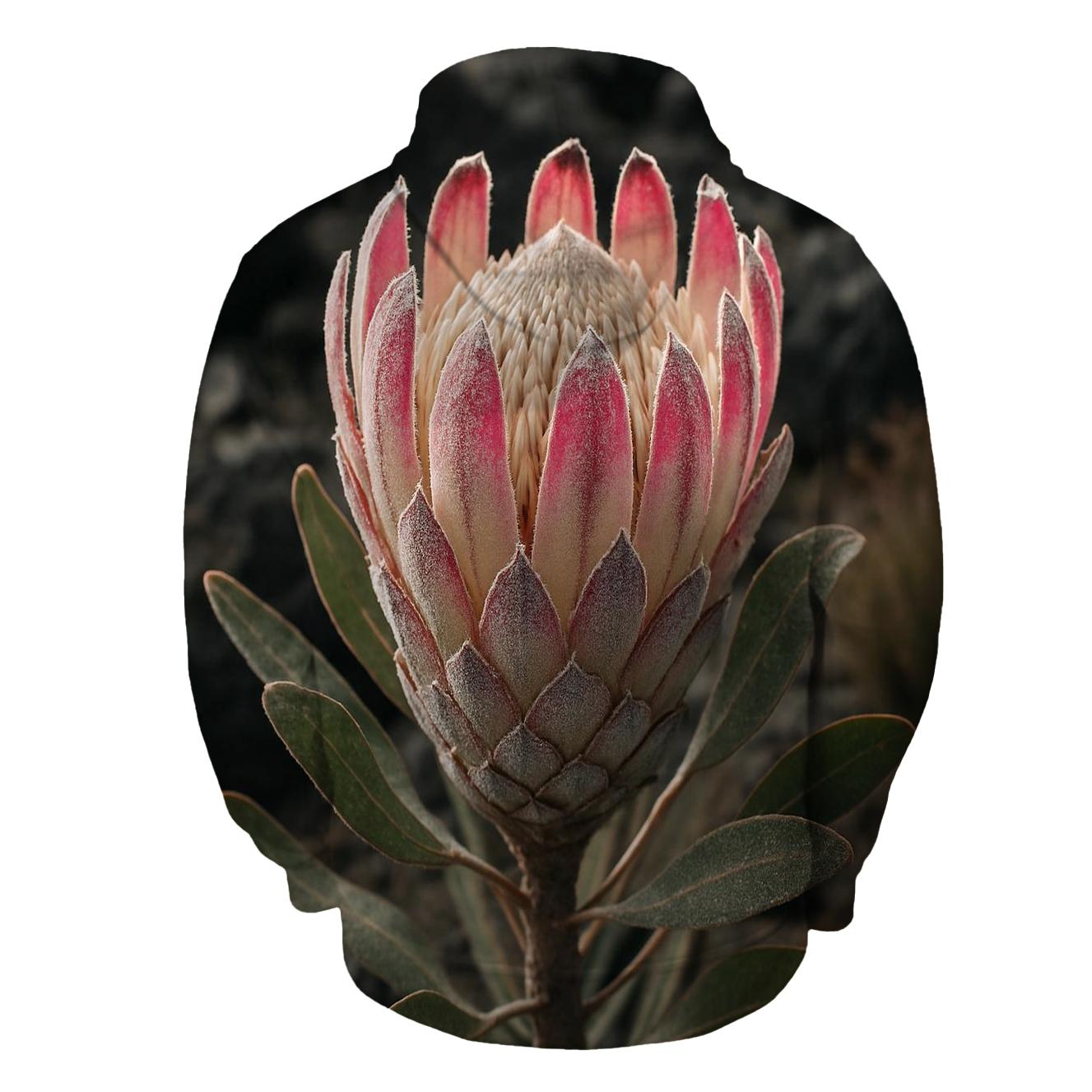 Volcanic Slope Protea Study With Ash Dusting On Bracts pullover hoodies