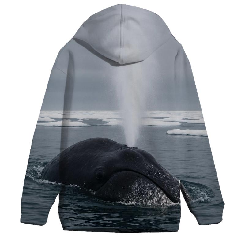 Ice Pan Wake Bowhead Whale hoodies fashion