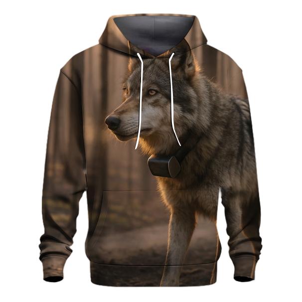 Radio Collared Wolf At The Boreal Firebreak premium hoodies