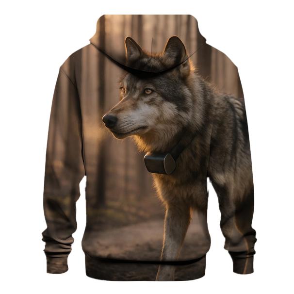 Radio Collared Wolf At The Boreal Firebreak premium hoodies