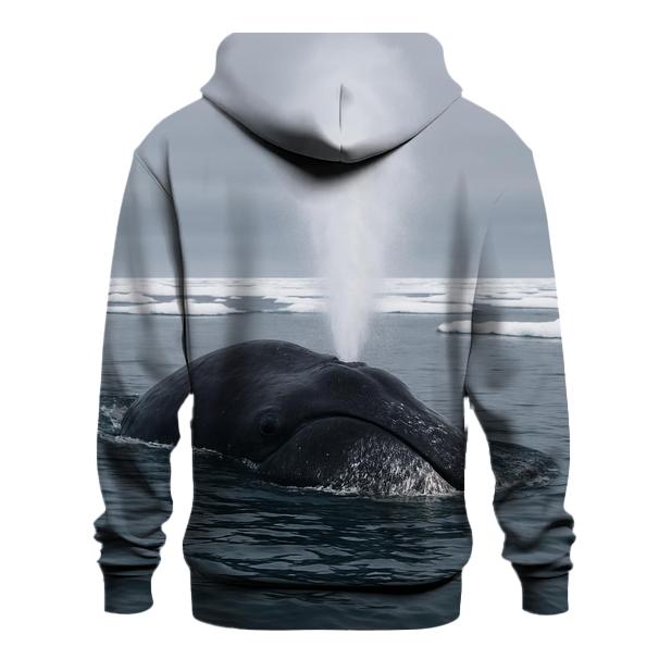 Ice Pan Wake Bowhead Whale heavyweight hoodies