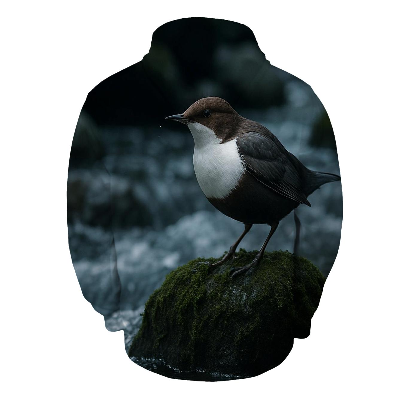 Riverbed Hover Dipper embroidered hoodies