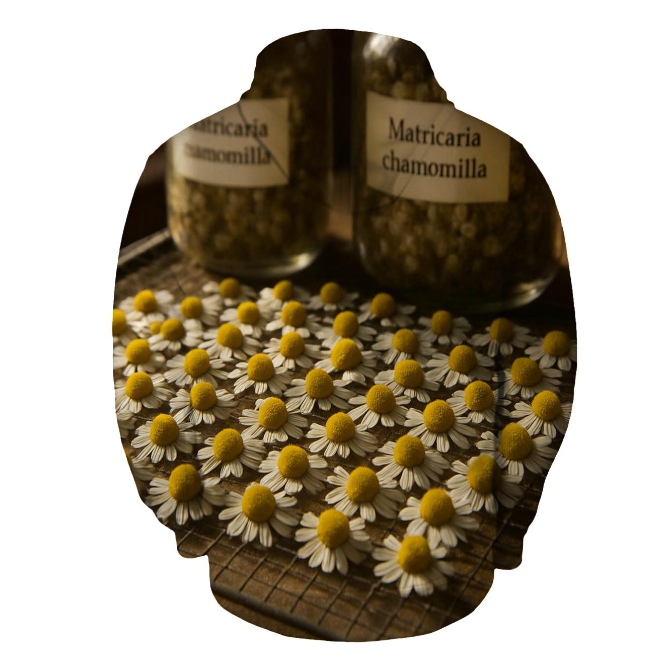 Chamomile Drying Rack In Traditional Apothecary hoodie styles
